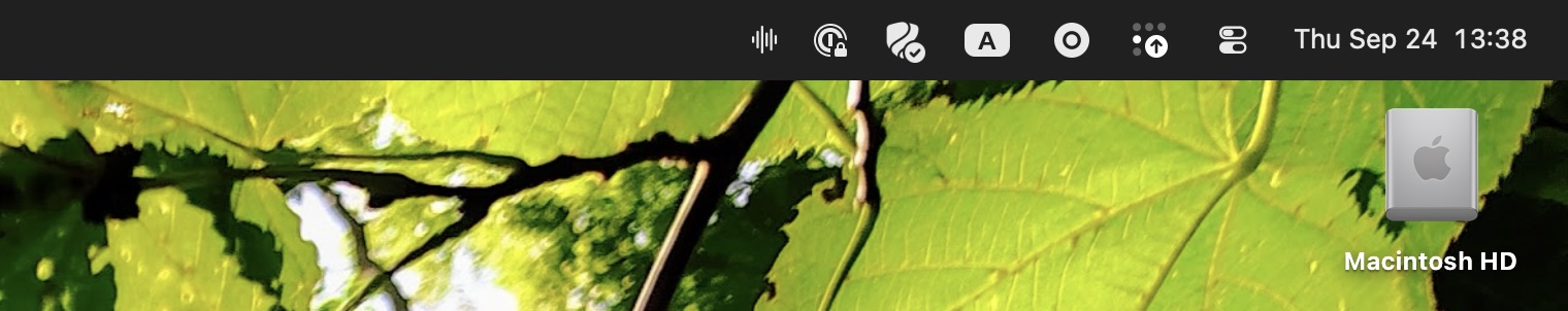 A macOS menu bar with a handful of icons and the clock; the waveform on the left is Voice is Local.